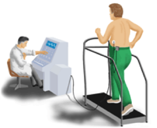 Stress Test